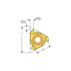 SHAVIV-VARGUS 4ER8ABUTVKX